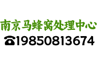 南京消杀公司,南京除马蜂窝,掏马蜂窝,清除马蜂窝电话