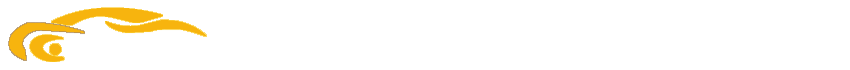 江西驰宇汽车服务有限公司