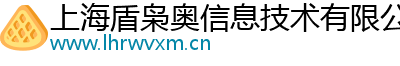 上海盾枭奥信息技术有限公司