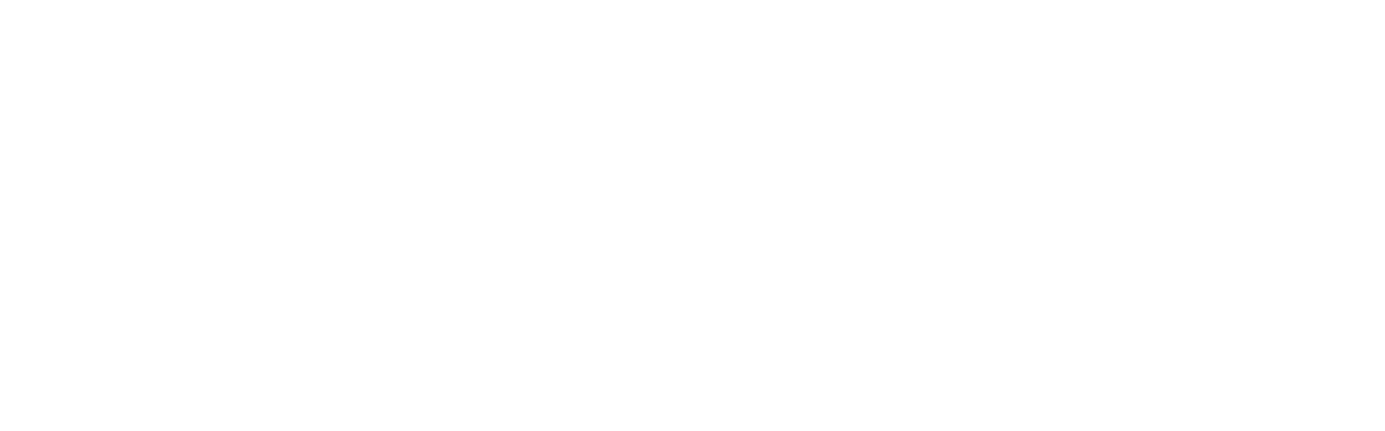 灵猫LINGMAO