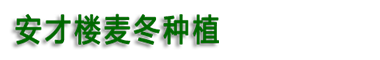 曹县安才楼麦冬种植专业合作社