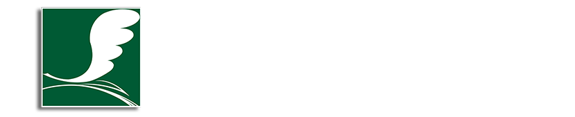 首页