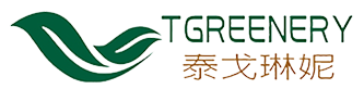 晋江市卓春日用品百货有限公司