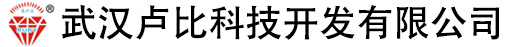 武汉卢比科技开发有限公司