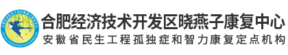 合肥自闭症与孤独症康复训练机构