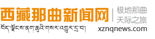 西藏那曲新闻网