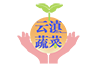 意大利生菜