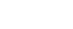 干细胞